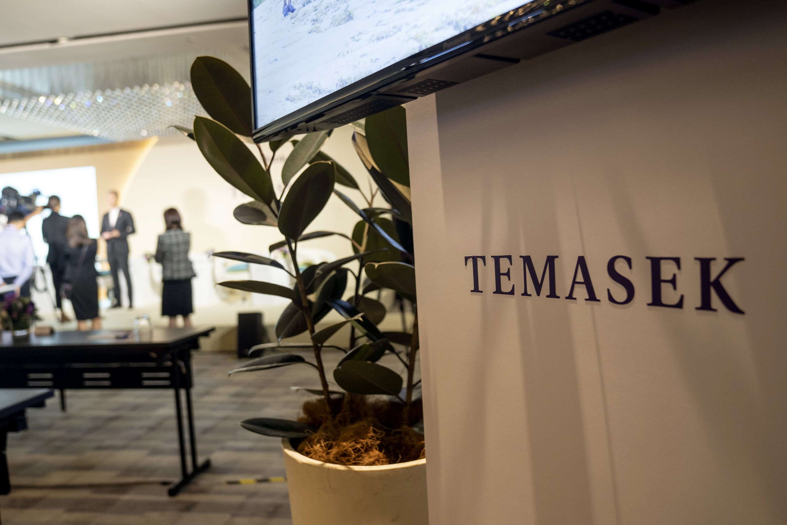 Why Temasek is Building AI Startups Like Aicadium